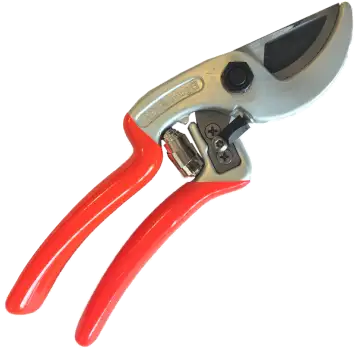Creuse Elagage Elagage Gueret Pngegg 2026 03 25T162859.218 1
